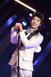 华晨宇_才华遭质疑，实力藏争议