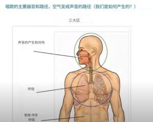 唱歌高位置发声点_想唱得又圆又亮？声音从眉心发，共鸣要稳，多练哼鸣轻声唱