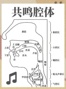如何正确唱歌发声方法_喉咙打开唱歌好，张嘴微笑气息稳，中声区亮顺高音冲，放松协调多练习！
