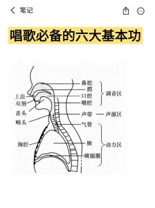 唱歌正确的发声位置_让歌声更动听的小窍门