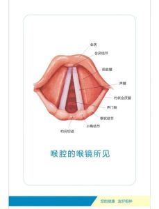 唱歌用什么部位发音_深呼吸放轻松，吐字传情站直，多练好声音！