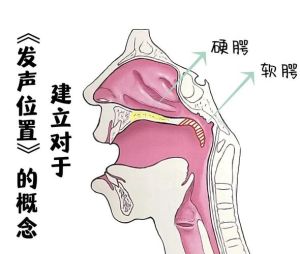 流行唱法的发声位置_唱歌稳如钟，气息是关键！肚子下沉不松劲，后腰背肌配合好，哼鸣打哈欠都有效，声音亮起来！