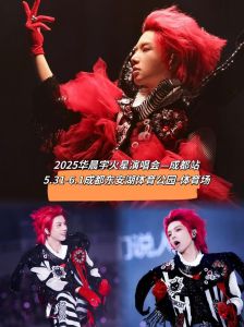 如何评价华晨宇的音乐_华晨宇音乐风格独特，有人爱有人恨，坚持做自己，时间会证明一切