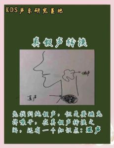 假音怎么唱出来_学假音别扯嗓子，声带边缘振动才对，放松练习找老师