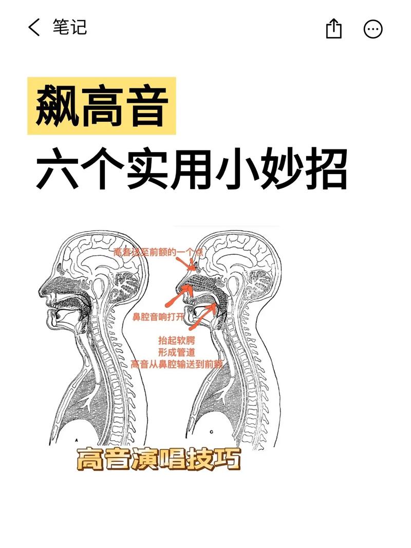 唱歌如何唱高音技巧_调整喉咙舌头,巧用共鸣,元音是关键 唱歌如何唱高音技巧_调整喉咙舌头,巧用共鸣,元音是关键