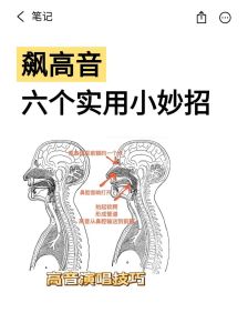 唱歌如何唱高音技巧_调整喉咙舌头，巧用共鸣，元音是关键