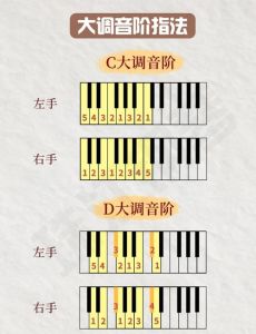 c1到c2是什么音域_连接低音稳重与高音激昂，展现声音魅力！