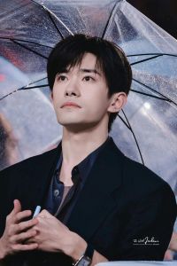 易烊千玺新预告触觉发布，雨中追爱带感，11月22日上映