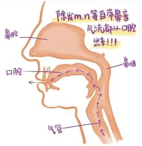 鼻腔共鸣最正确的感觉_让声音更圆润，别和鼻音搞混！