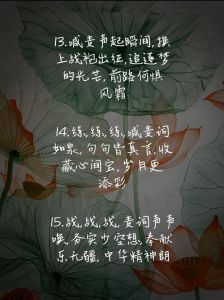 我梦回东胜花果山喊麦麦词_孙悟空的逍遥乐土