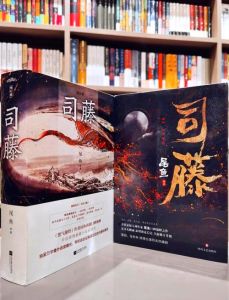 《司藤》后尾鱼剧难拍？《枭起青壤》慢节奏引不满，都市奇幻改编需提速