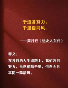 于适配音受认可，风波后更显人品努力