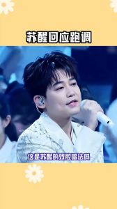 苏醒唱歌评价_舞台翻车遭质疑？粉丝力挺他，看演唱会能否翻盘！