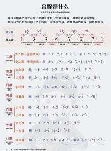 《音乐理论基础》_小白学音乐必备，免费试听，电子证书！