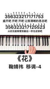 鞠婧祎钢琴几级_舞台偶像 音乐才女 多才多艺