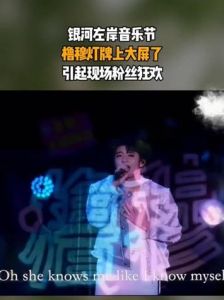 橹穆新年音乐节_精彩视听盛宴不容错过！