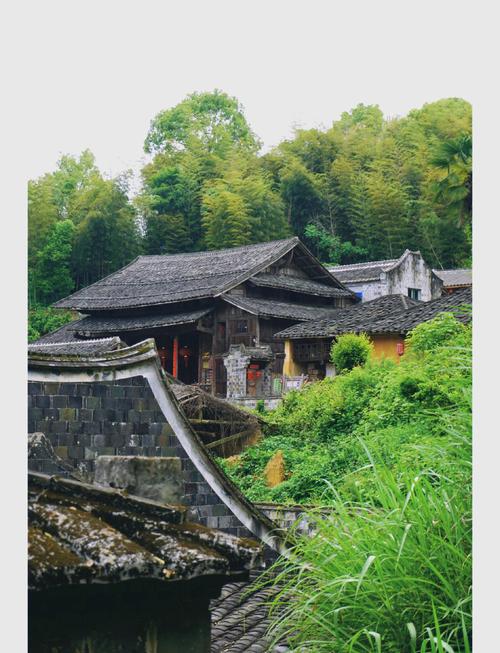 畲族在哪里_福建浙江多，爱唱歌住山区