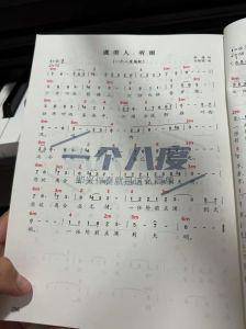 世界最高音几个八度_人类唱歌能唱到多高？揭秘超广音域的厉害歌手