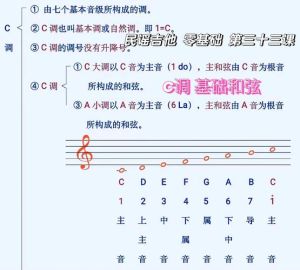 d3音域低吗_专业歌手和中音？