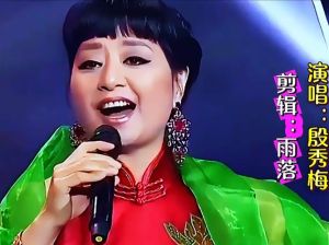 殷秀梅的唱法特点_美声唱出中国味儿，歌声独特又动人