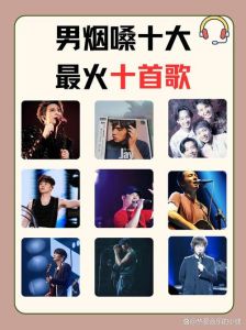 男声低音炮十大排名_醇厚男低音，越听越有味！赵鹏冯乔钱萌生杨子等宝藏歌手推荐