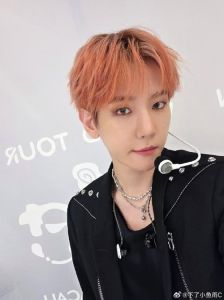 边伯贤唱歌水平_边伯贤唱功超棒！SM眼光独到，天赋努力成就舞台王者