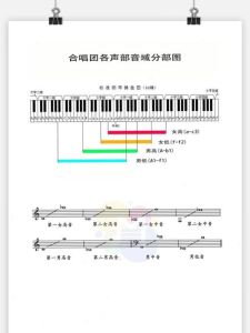 男中音分类_不同种类声音特色大不同
