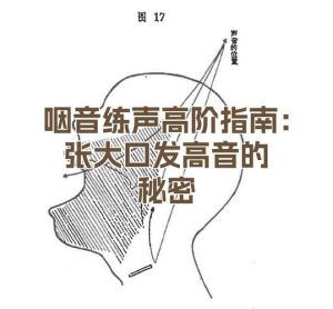 怎么唱高音把嗓子打开_喉咙放松张嘴开，气息稳住多练习，声音高又稳轻松！