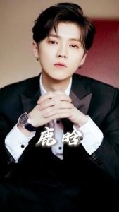 鹿晗有演技有唱功吗_鹿晗演唱会票秒光，舞台表现力爆表，粉丝超忠诚，颜值超高，实力证明自己！