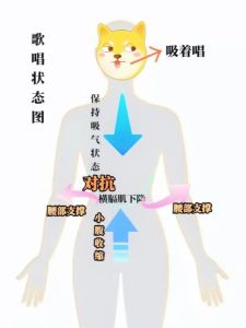 学声乐声音宽还是窄_声音宽又亮，关键找对通道和发力点！