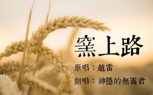 王力宏赵雷属于低音吗_华语低音王子王力宏与赵雷，风格迥异，唱功精湛！