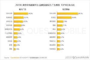 2025剧综营销求稳，大牌偏爱S+大剧和综N代
