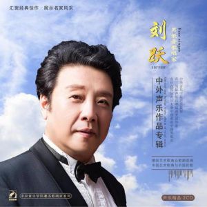 男低音炮的歌手是谁_稀罕男低音，赵鹏梅杰韩磊展现震撼魅力