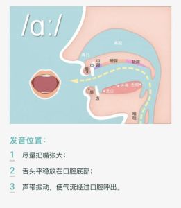 唱歌发声位置详细图解_掌握发声位置，提升共鸣与气息