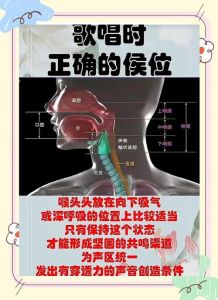 唱歌的正确发声位置图_声音怎么发出来的？看懂这些部位和原理！