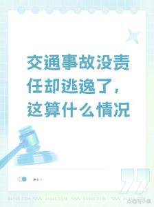 无责方走了算不算肇事逃逸_不报警不理人就可能算！