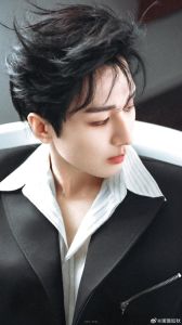 成毅赴红尘小提琴_成毅小提琴《赴红尘》动听真诚，展现才华获赞