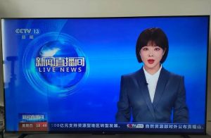 生命電視台直播_生命台直播動物奧妙，鳳凰黃河台多視角看自然