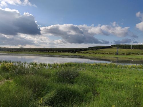 《重走青春路》怀旧与现实结合，展现塞罕坝生态建设新面貌