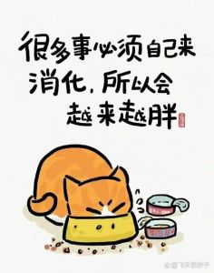 胖了也不焦虑，享受生活更自在！