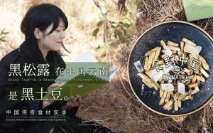 《食野中国》新书发布受热捧！作者呼吁珍惜本土食材