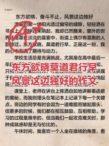 90年南京偶遇东山魁夷散文，开启心灵平静之旅
