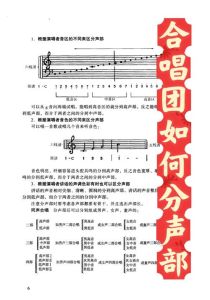 高音从低到高排序_技巧与情感的表达