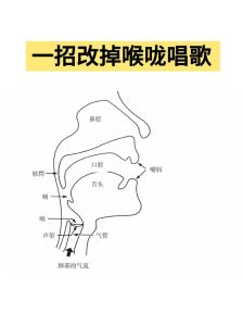 怎么改掉扯嗓子唱歌_改用腹式呼吸，多喝水，少吃辣