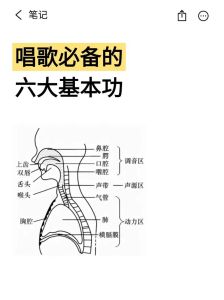 正确唱歌发声训练方法_唱歌好听呼吸是关键，练深呼吸，哼鸣，用气发声，保护嗓子，让歌声更动听