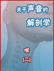 声乐解剖图_喉咙嘴巴共鸣，科学唱歌好声音