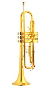 声乐管乐还有什么乐_音乐真神奇！唱歌乐器超有趣，让生活更精彩！