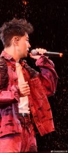 林志颖宁德演唱会_宁德雨中星光闪耀！张信哲林志颖杨宗纬燃爆超音星光巨星演唱会！