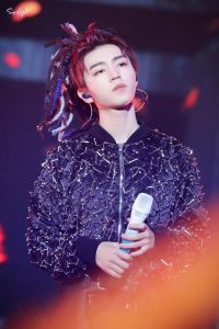 王俊凯2019无边界演唱会_王俊凯演唱会跑调引热议，真实实力引思考