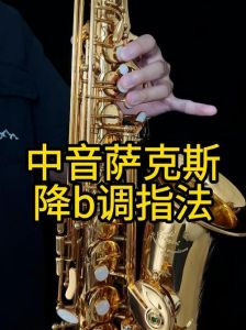降b调单簧管音域_单簧管音域最广，表现力强，初学易上手